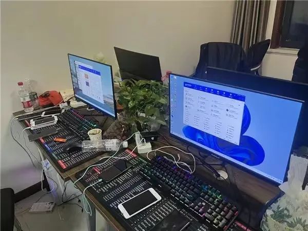 違法違規的直播有哪些類型？