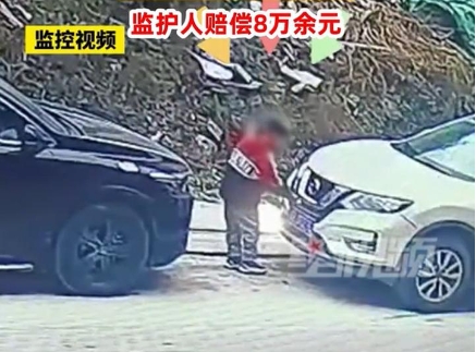9歲男孩塞鞭炮燒車家長(zhǎng)被判賠8萬